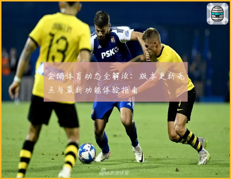 企鹅体育动态全解读：版本更新亮点与最新功能体验指南