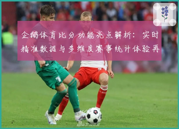 企鹅体育比分功能亮点解析：实时精准数据与多维度赛事统计体验再升级