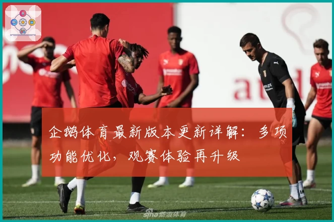 企鹅体育最新版本更新详解：多项功能优化，观赛体验再升级