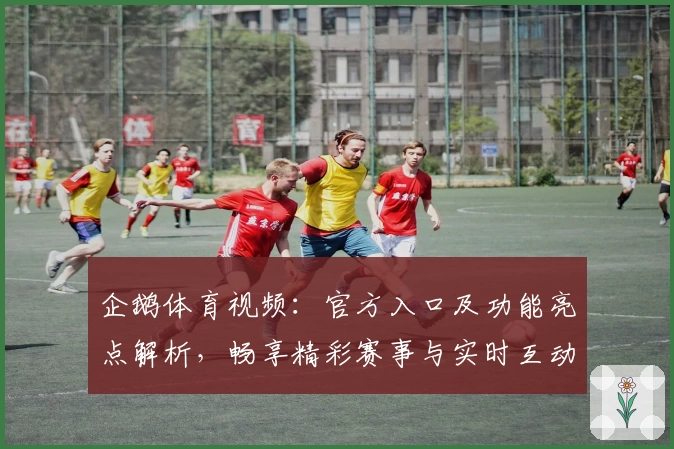 企鹅体育视频:官方入口及功能亮点解析,畅享精彩赛事与实时互动体验