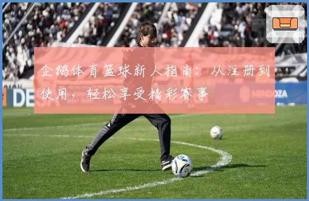 企鹅体育篮球新人指南:从注册到使用,轻松享受精彩赛事